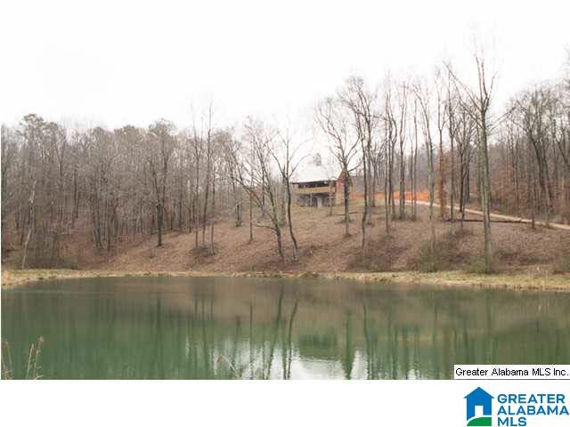 1540 County Road 39 Oneonta, AL 35121 - Photo 24 of 24