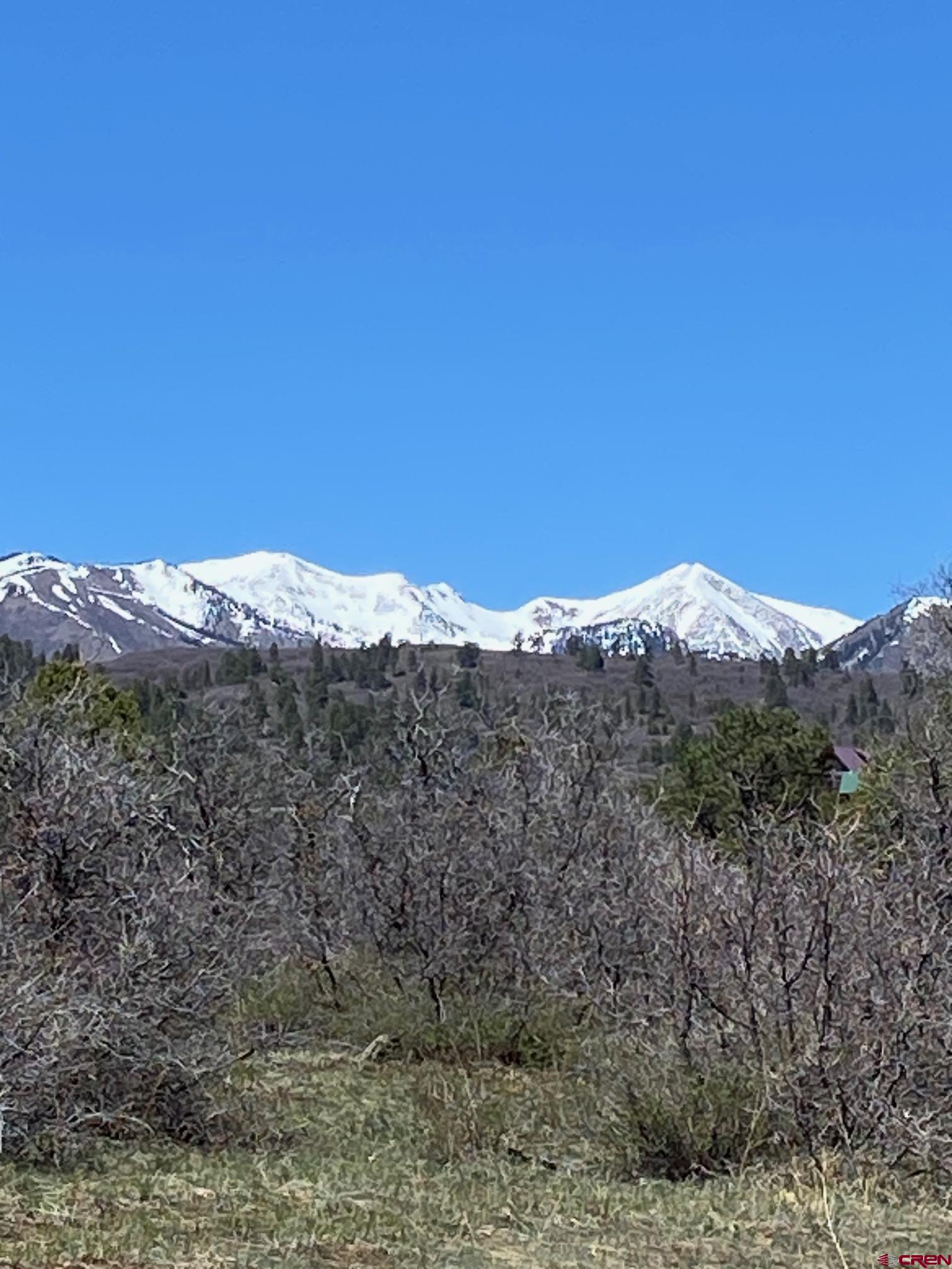 a view of a dry yard with mountains in the background