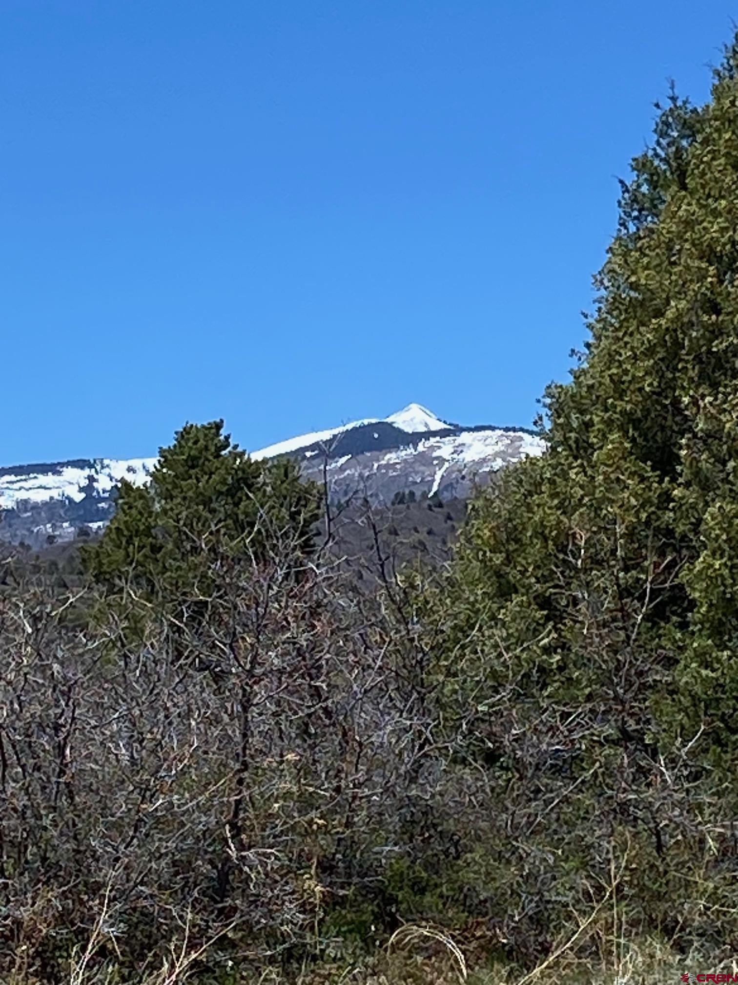 902 Roberts Ridge Drive Hesperus, CO 81326 - Photo 3 of 9 a view of a field