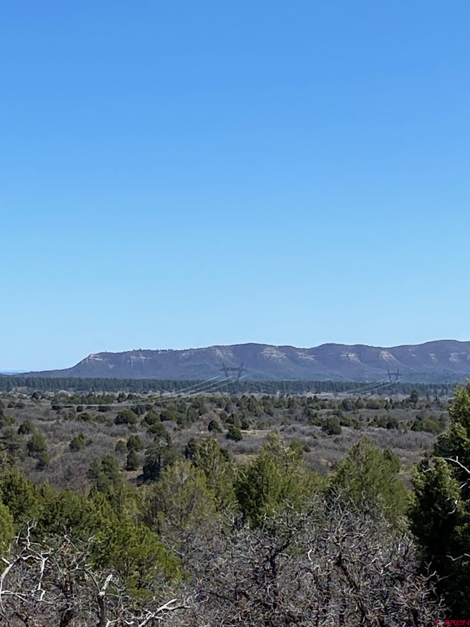 902 Roberts Ridge Drive Hesperus, CO 81326 - Photo 8 of 9