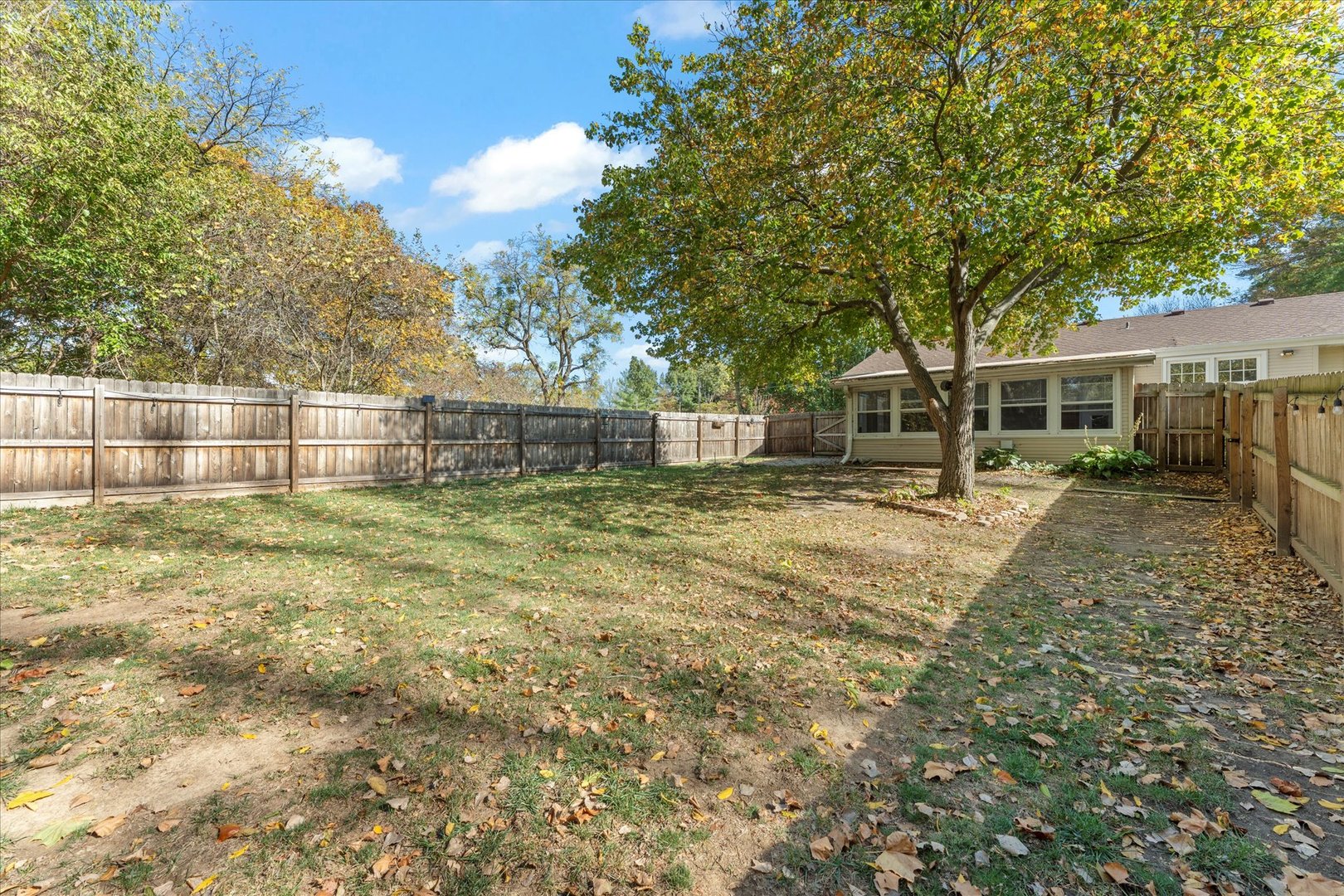 1101 McDougal Road Mahomet, IL 61853 - Photo 31 of 38 a backyard of a house with lots of green space