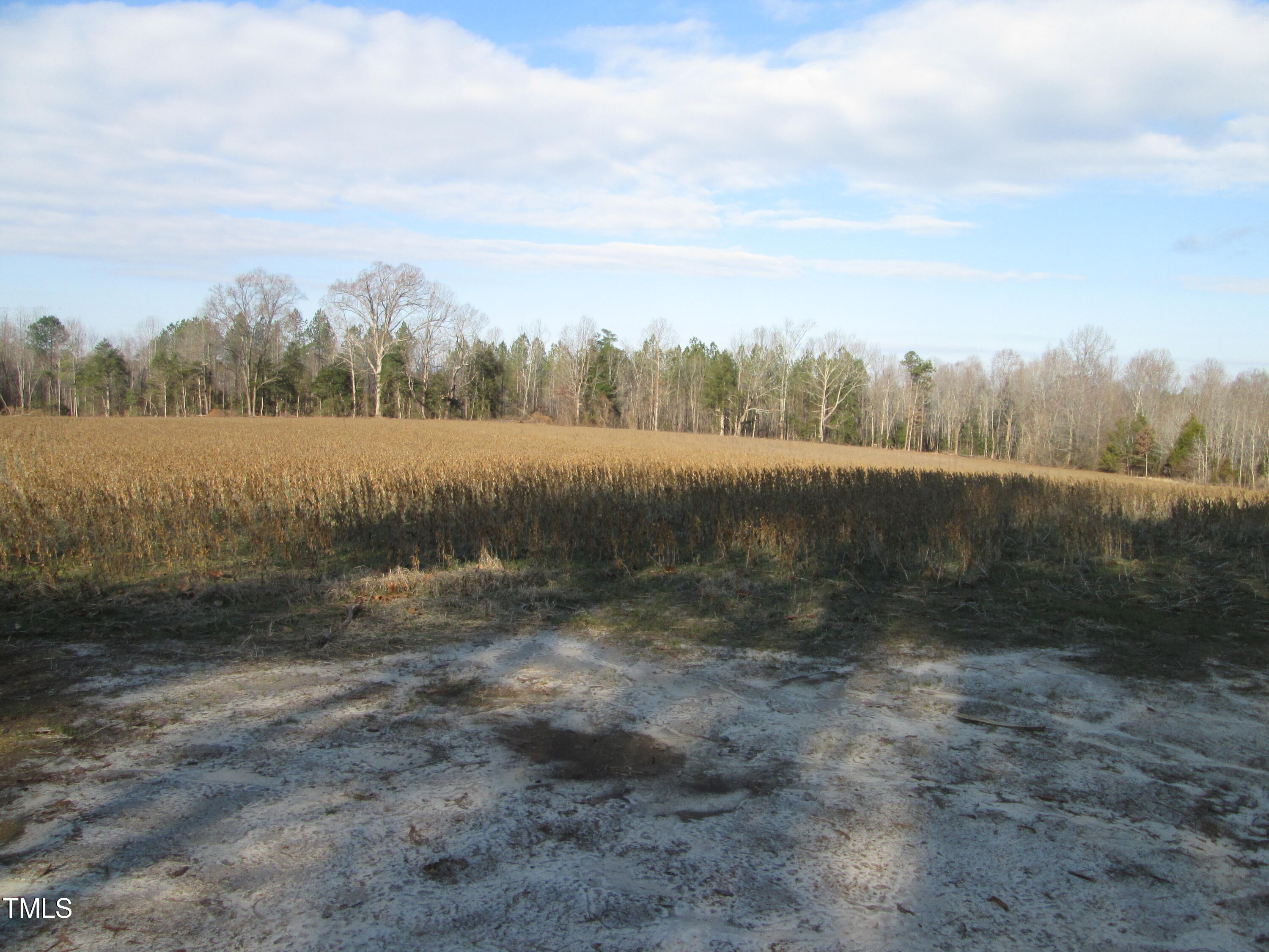 67-ac Burchette Road Manson, NC 27553 - Photo 11 of 17 IMG_3921