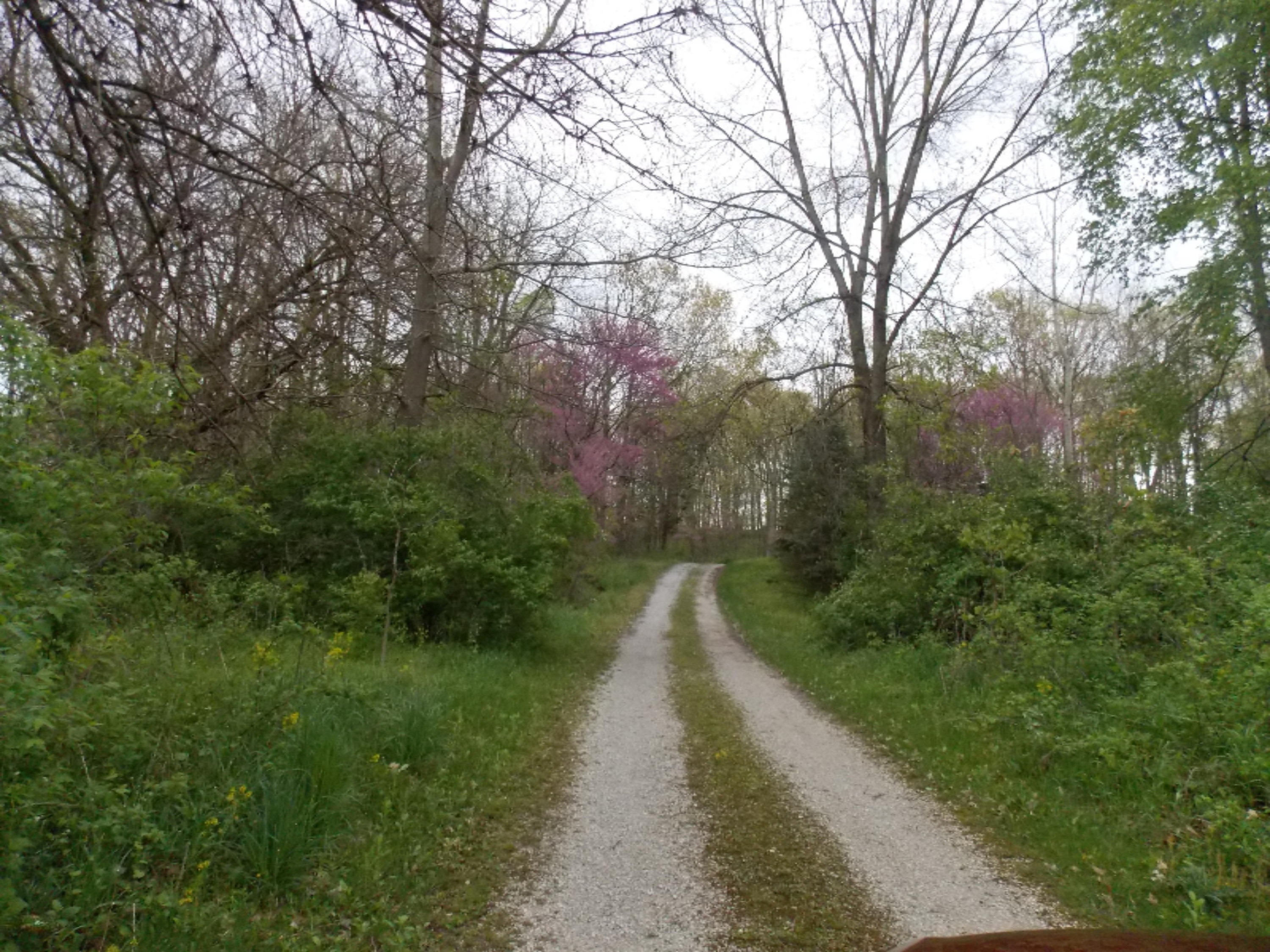66920 Robbins Lake Road Jones, MI 49061 - Photo 3 of 34 DSCN2490