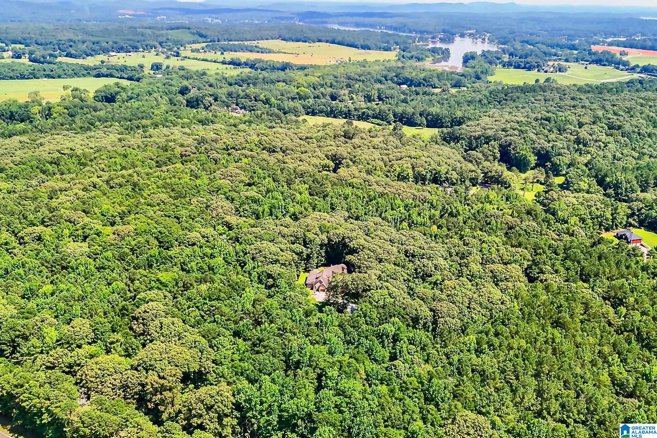 931 Newsome Road Wilsonville, AL 35186 - Photo 74 of 79