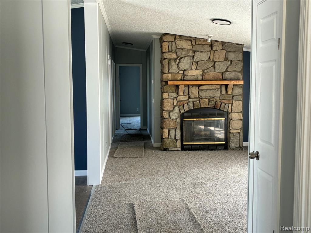 420 Hidden Ridge Road Morrice, MI 48857 - Photo 3 of 16