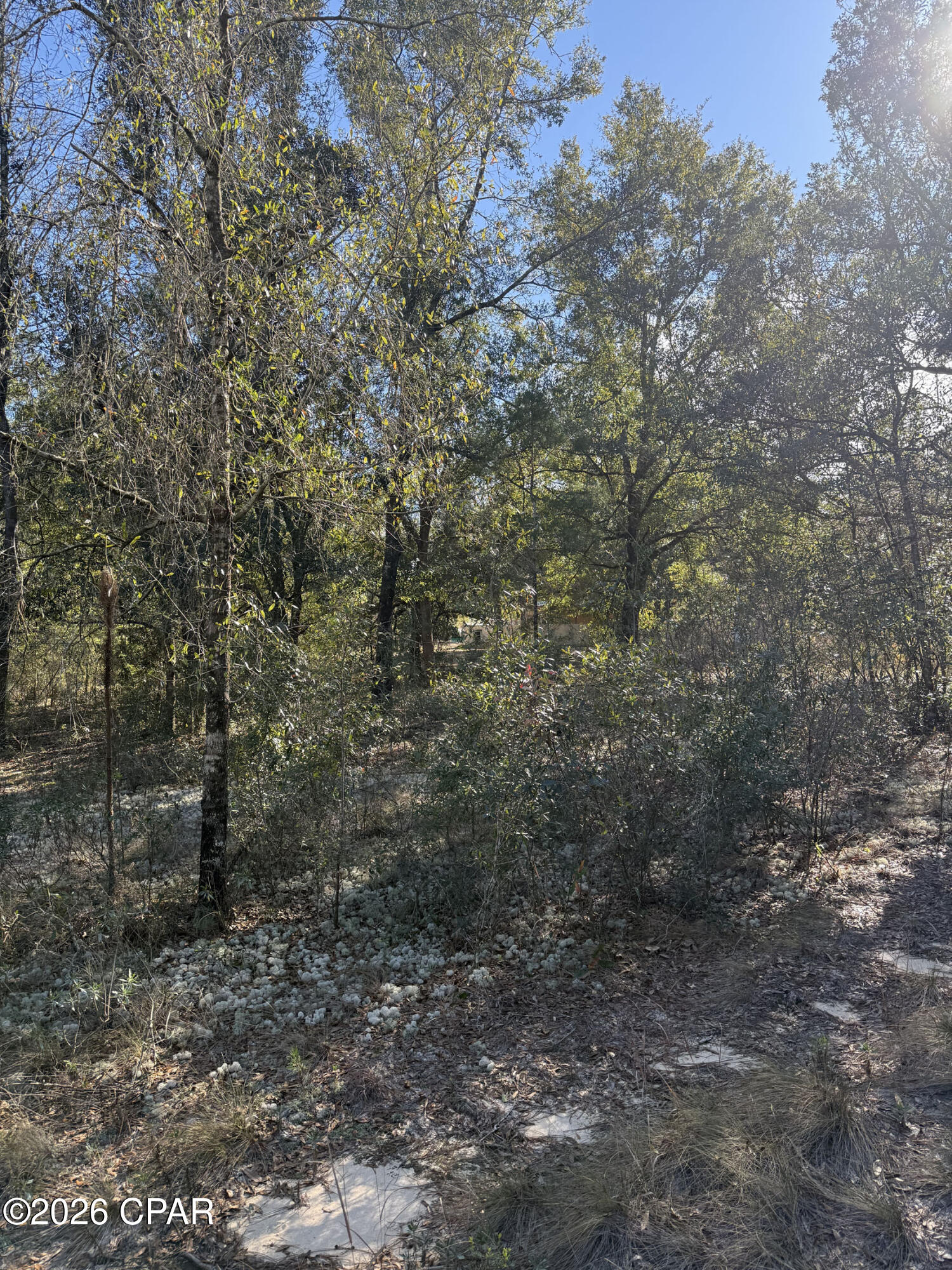Lot 21 Grassy Pond Road Chipley, FL 32428 - Photo 2 of 14