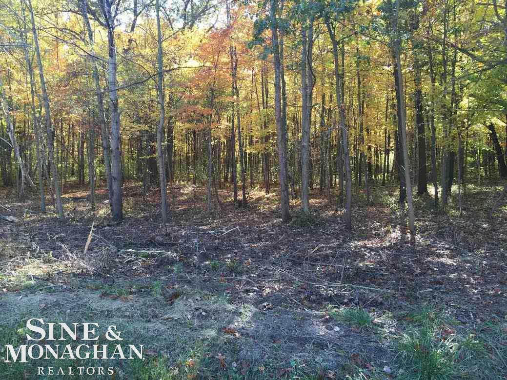 0 Fruit Road, Unit PARCEL D Algonac, MI 48001 - Photo 1 of 3