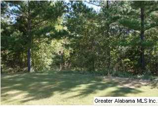 2052 Springfield Drive Chelsea, AL 35043 - Photo 4 of 13
