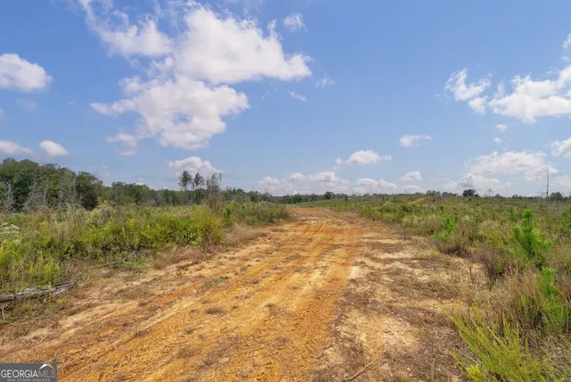 $250,000 | 0 New Hope Vesta Road, Carlton, GA 30627
