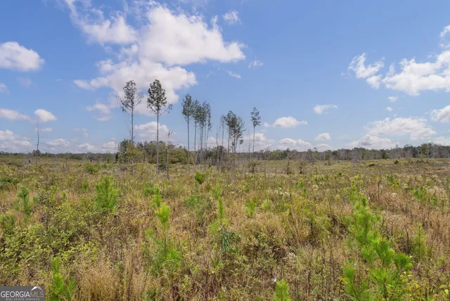 $250,000 | 0 New Hope Vesta Road, Carlton, GA 30627