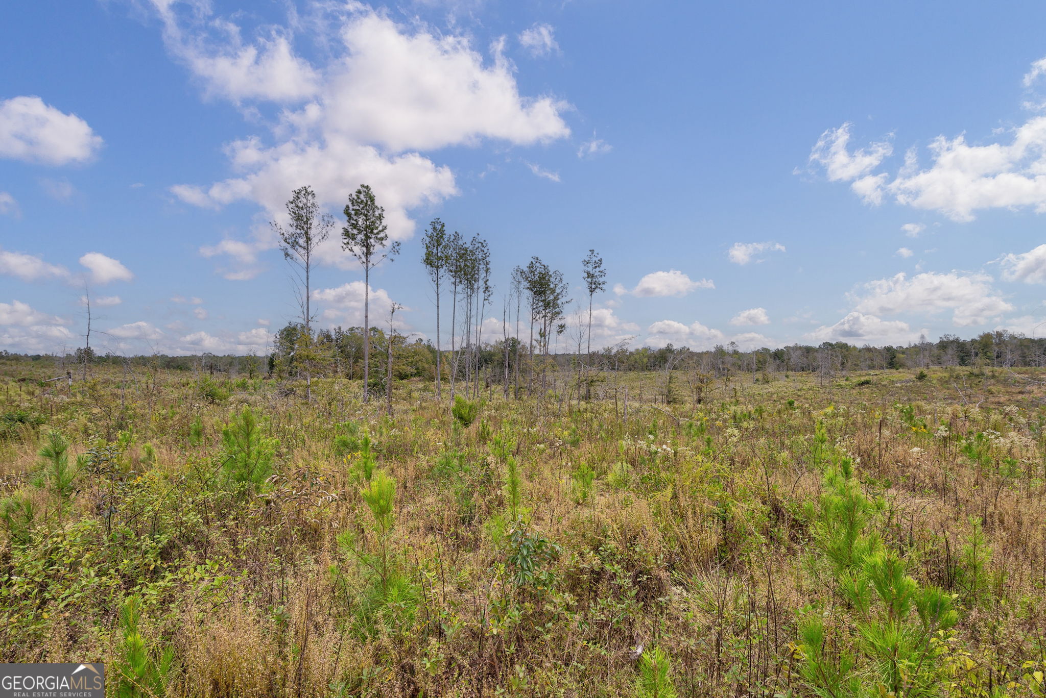 0 New Hope Vesta Road Carlton, GA 30627 - Photo 12 of 37