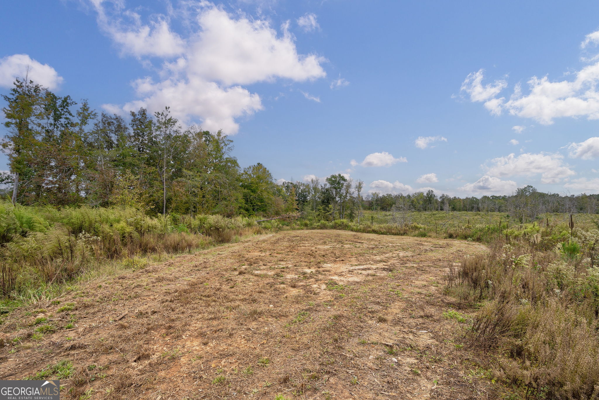 0 New Hope Vesta Road Carlton, GA 30627 - Photo 13 of 37