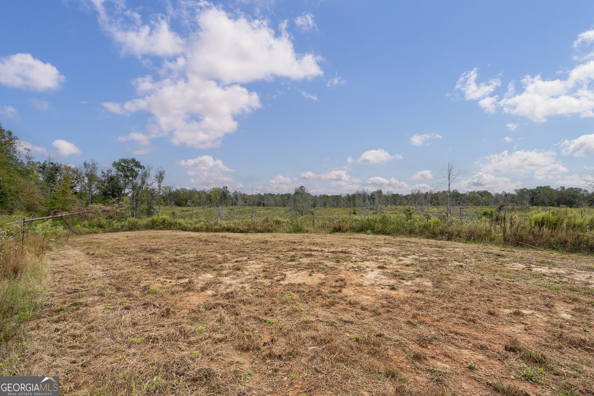 0 New Hope Vesta Road Carlton, GA 30627 - Photo 14 of 37