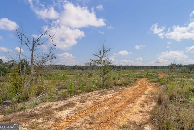 $250,000 | 0 New Hope Vesta Road, Carlton, GA 30627