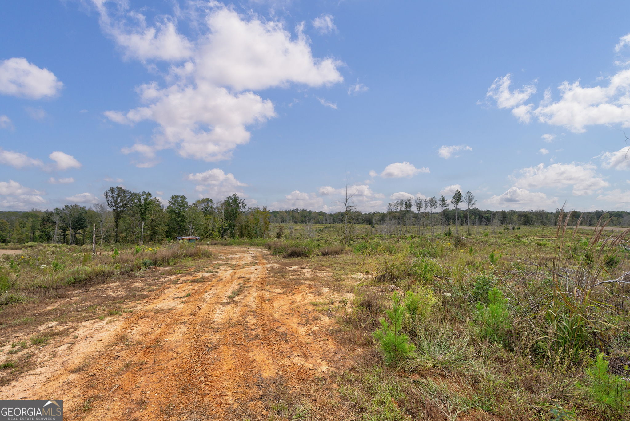 0 New Hope Vesta Road Carlton, GA 30627 - Photo 16 of 37
