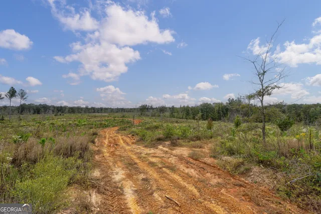 $250,000 | 0 New Hope Vesta Road, Carlton, GA 30627