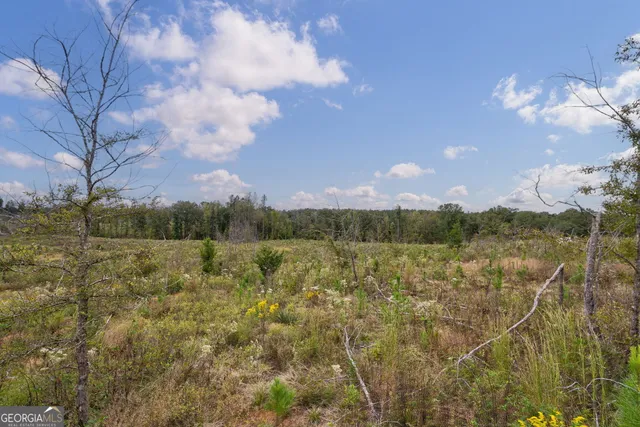 $250,000 | 0 New Hope Vesta Road, Carlton, GA 30627