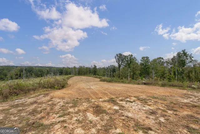 $250,000 | 0 New Hope Vesta Road, Carlton, GA 30627