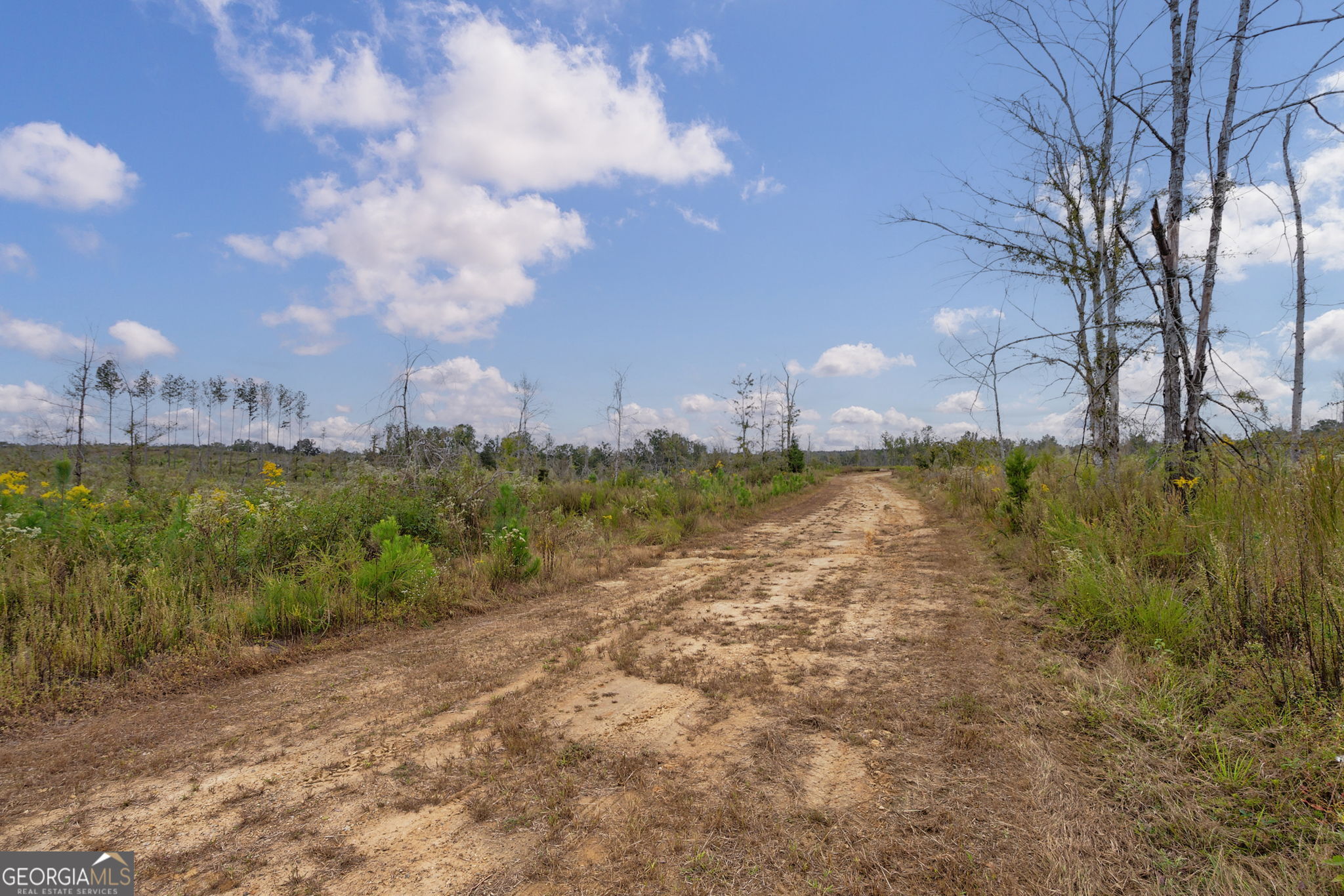 0 New Hope Vesta Road Carlton, GA 30627 - Photo 21 of 37