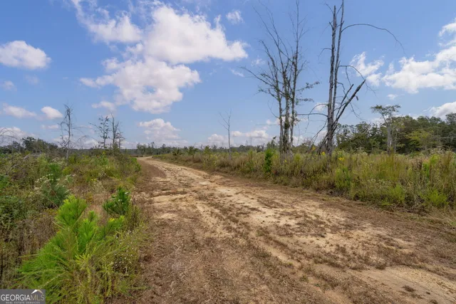 $250,000 | 0 New Hope Vesta Road, Carlton, GA 30627