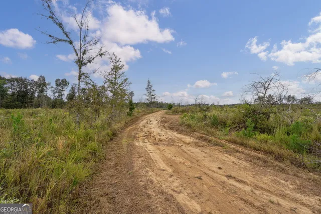 $250,000 | 0 New Hope Vesta Road, Carlton, GA 30627