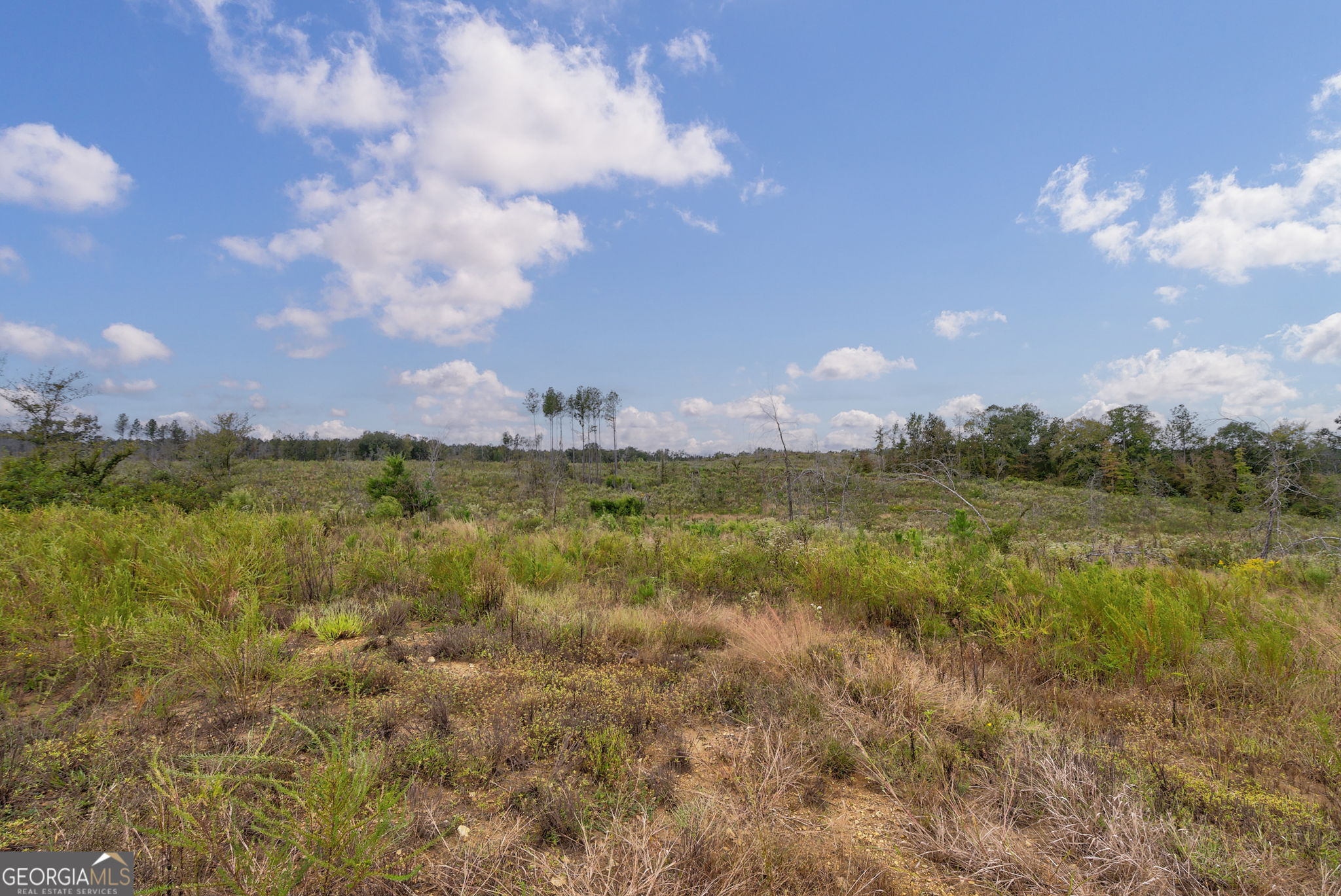 0 New Hope Vesta Road Carlton, GA 30627 - Photo 24 of 37