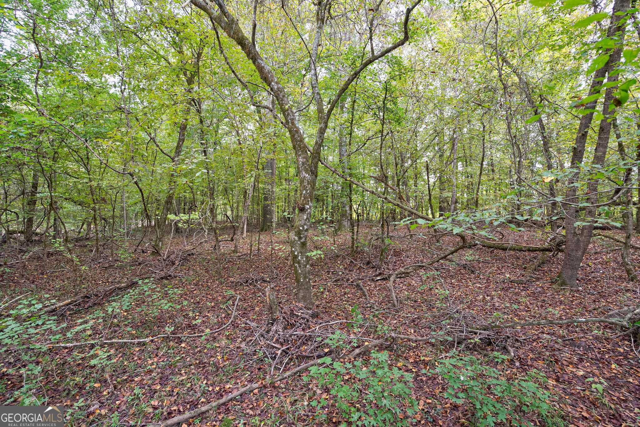 0 New Hope Vesta Road Carlton, GA 30627 - Photo 25 of 37