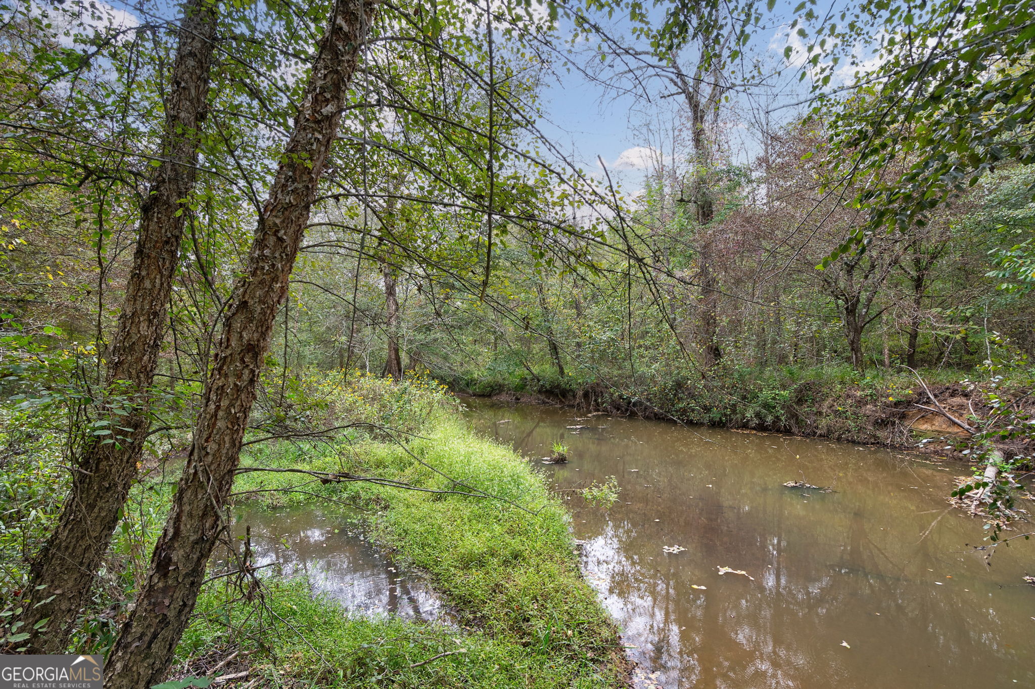 0 New Hope Vesta Road Carlton, GA 30627 - Photo 26 of 37