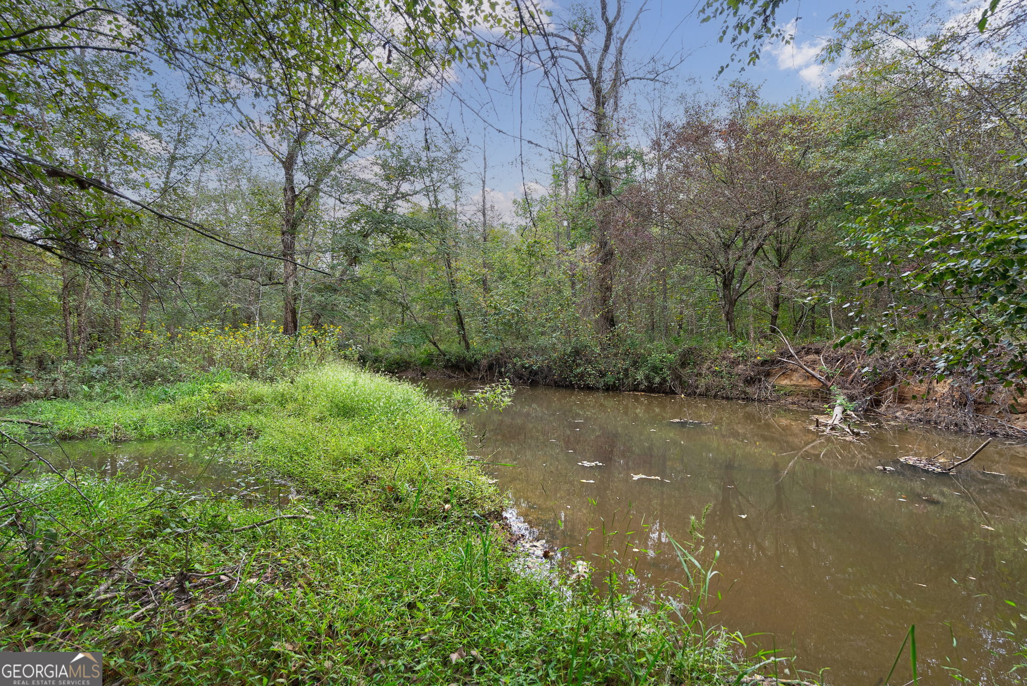 0 New Hope Vesta Road Carlton, GA 30627 - Photo 27 of 37
