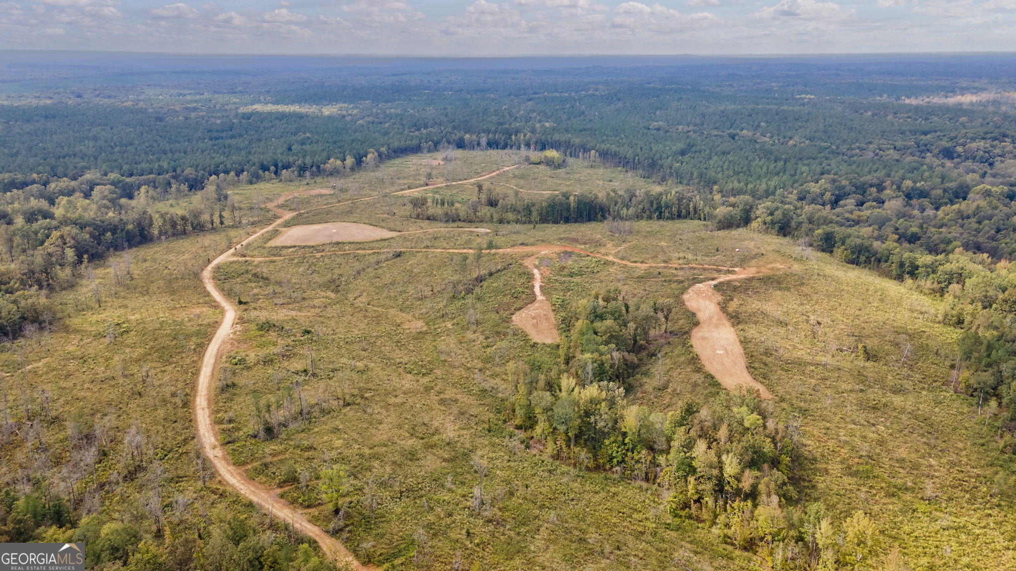 0 New Hope Vesta Road Carlton, GA 30627 - Photo 28 of 37