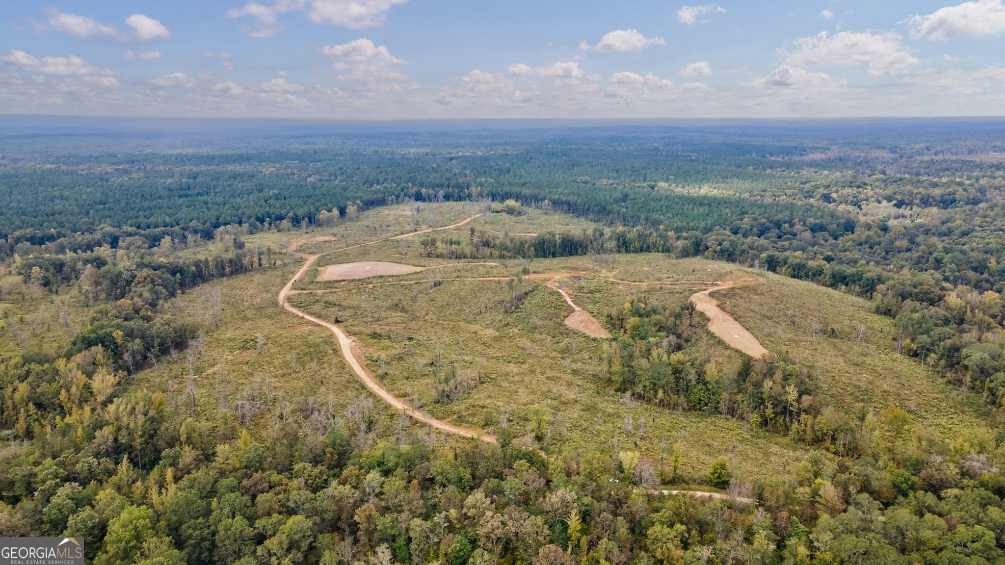 0 New Hope Vesta Road Carlton, GA 30627 - Photo 29 of 37