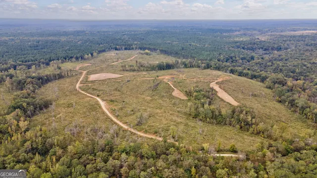 $250,000 | 0 New Hope Vesta Road, Carlton, GA 30627