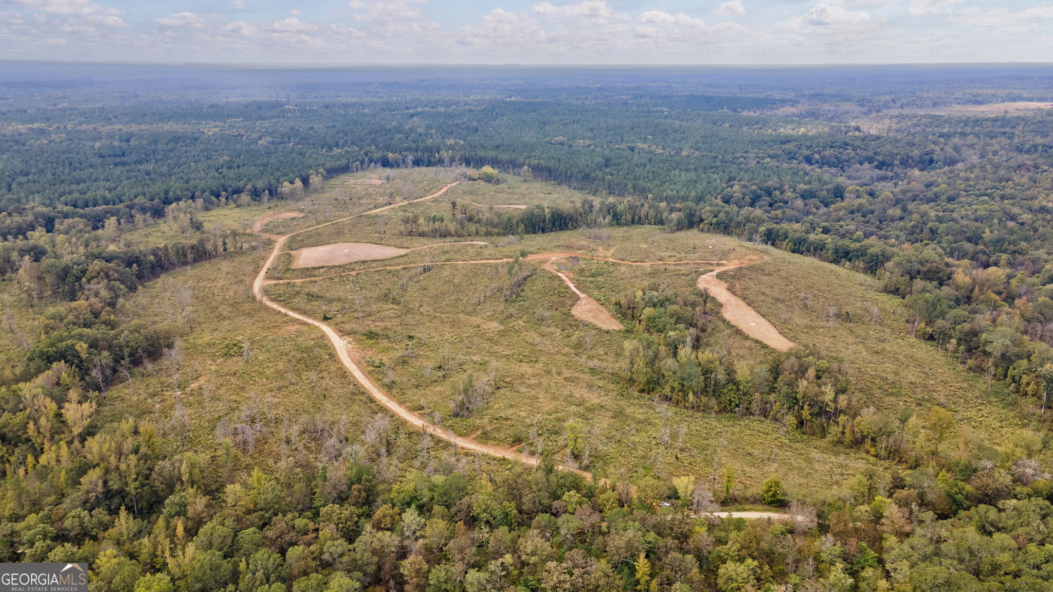 0 New Hope Vesta Road Carlton, GA 30627 - Photo 30 of 37
