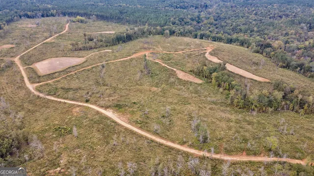 $250,000 | 0 New Hope Vesta Road, Carlton, GA 30627