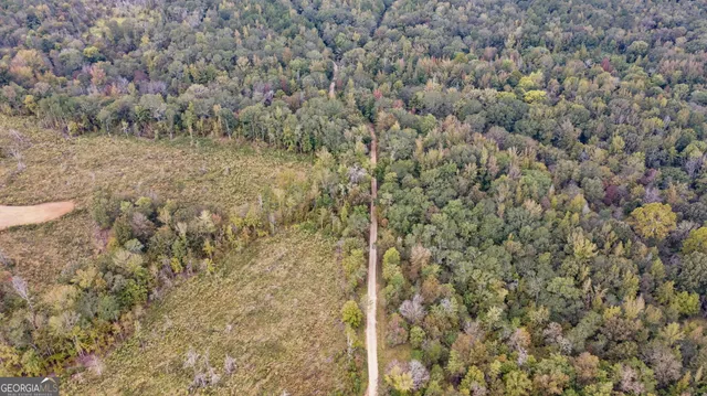 $250,000 | 0 New Hope Vesta Road, Carlton, GA 30627