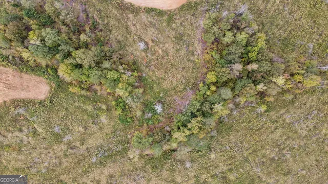 $250,000 | 0 New Hope Vesta Road, Carlton, GA 30627