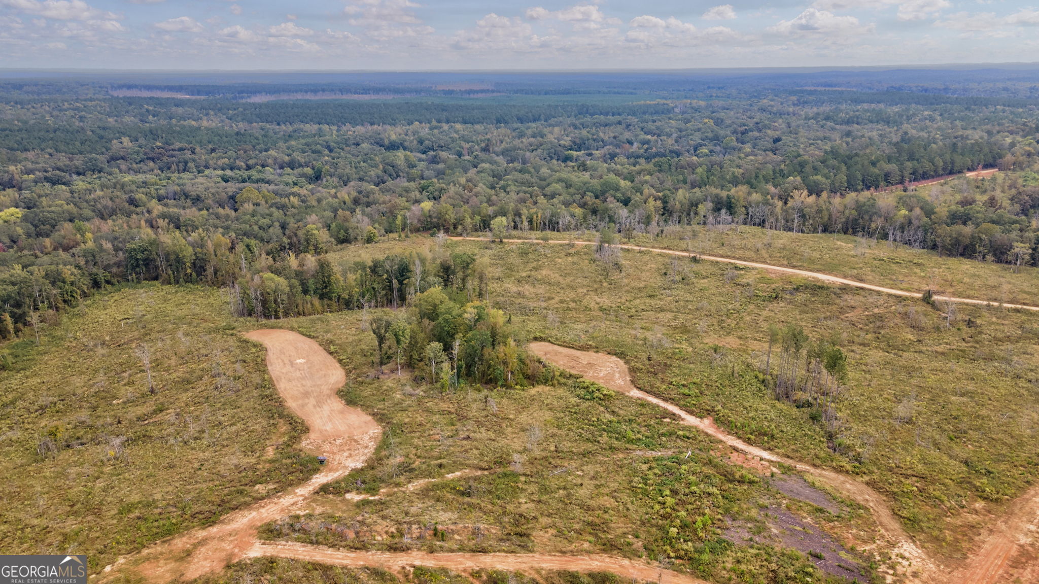 0 New Hope Vesta Road Carlton, GA 30627 - Photo 35 of 37