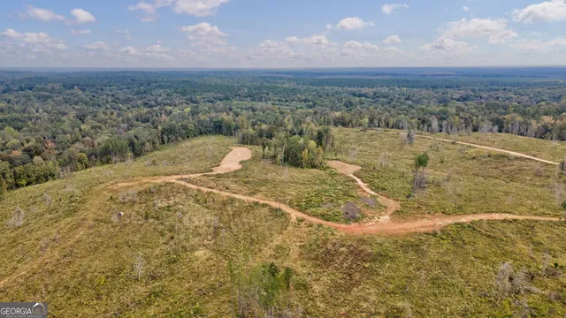 $250,000 | 0 New Hope Vesta Road, Carlton, GA 30627