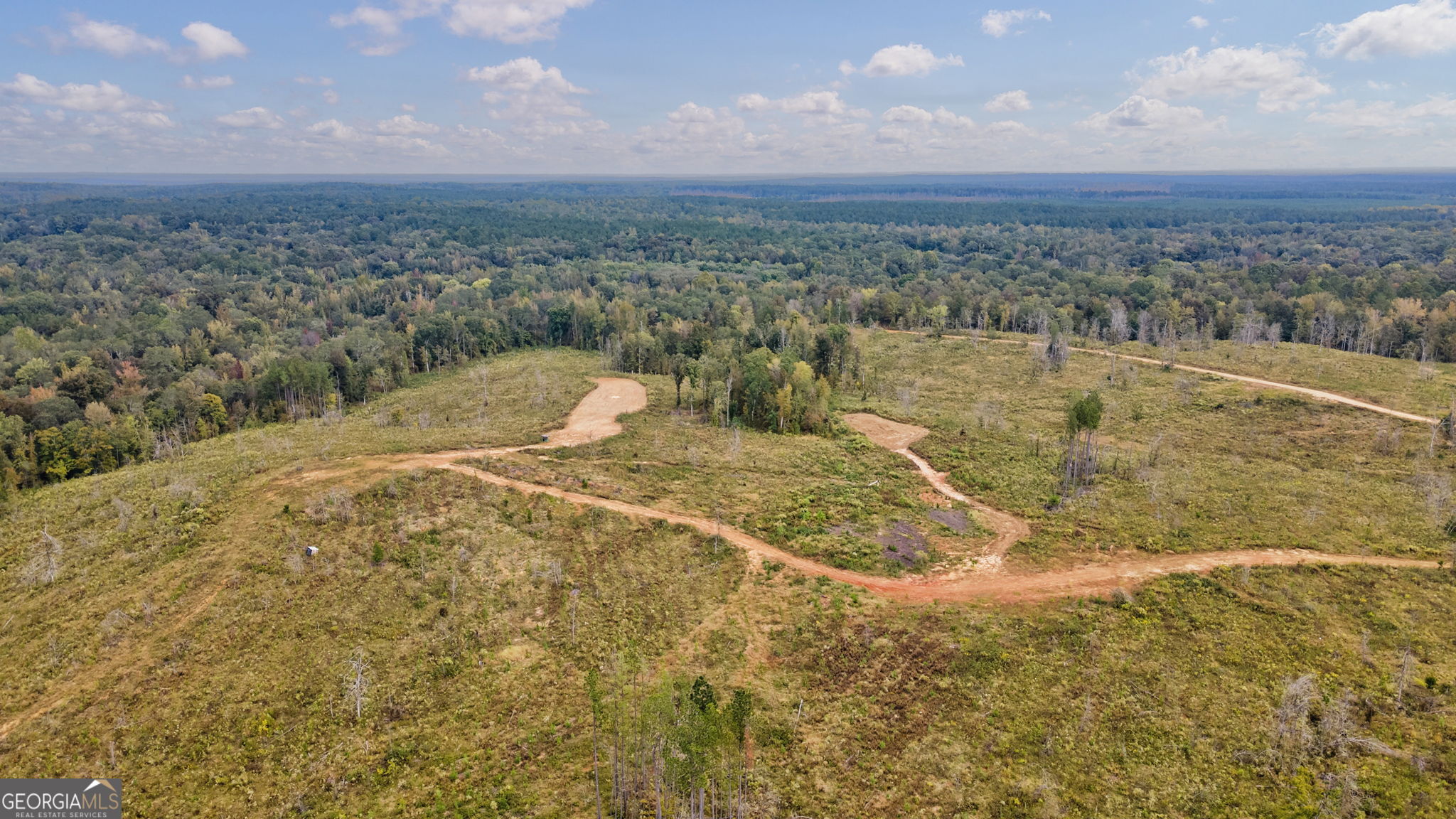 0 New Hope Vesta Road Carlton, GA 30627 - Photo 36 of 37