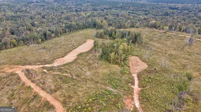 $250,000 | 0 New Hope Vesta Road, Carlton, GA 30627