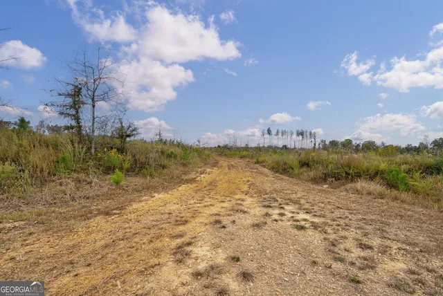 $250,000 | 0 New Hope Vesta Road, Carlton, GA 30627