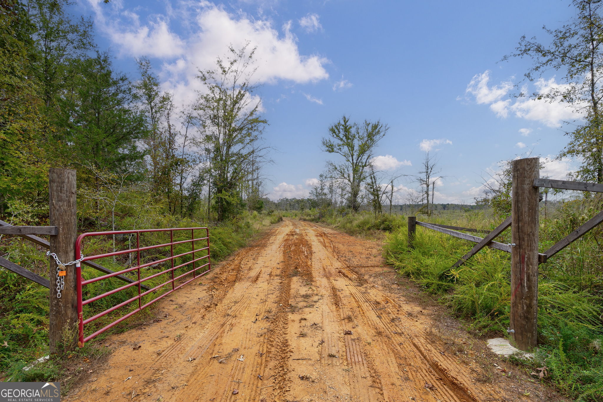 0 New Hope Vesta Road Carlton, GA 30627 - Photo 5 of 37