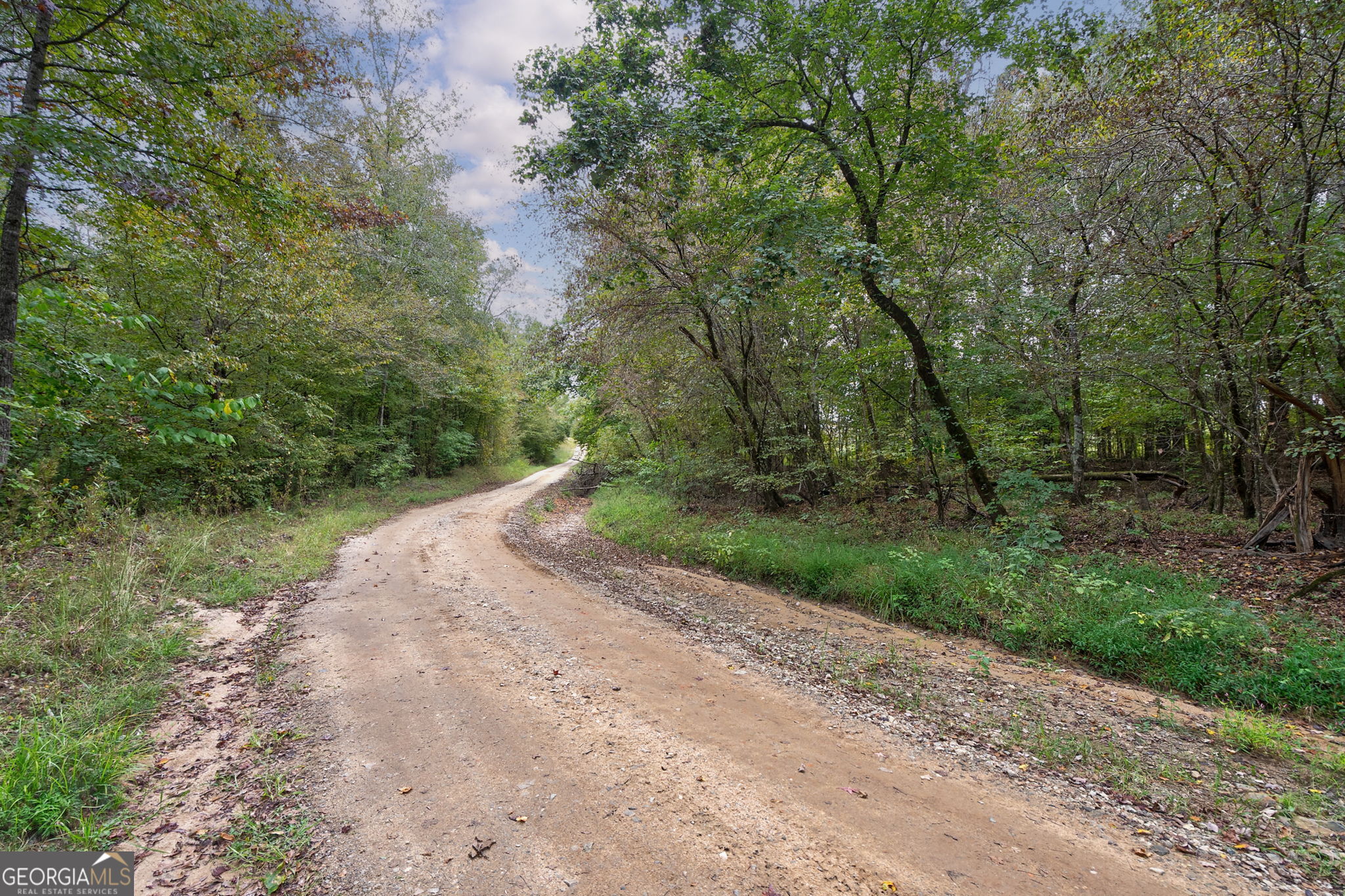 0 New Hope Vesta Road Carlton, GA 30627 - Photo 7 of 37