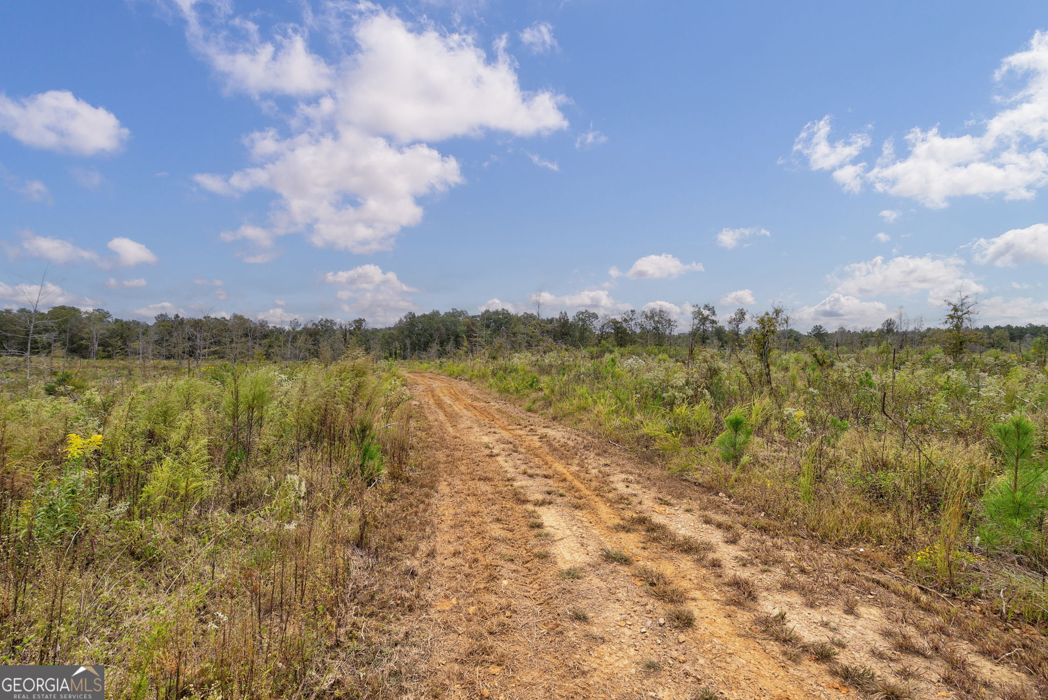 0 New Hope Vesta Road Carlton, GA 30627 - Photo 10 of 37