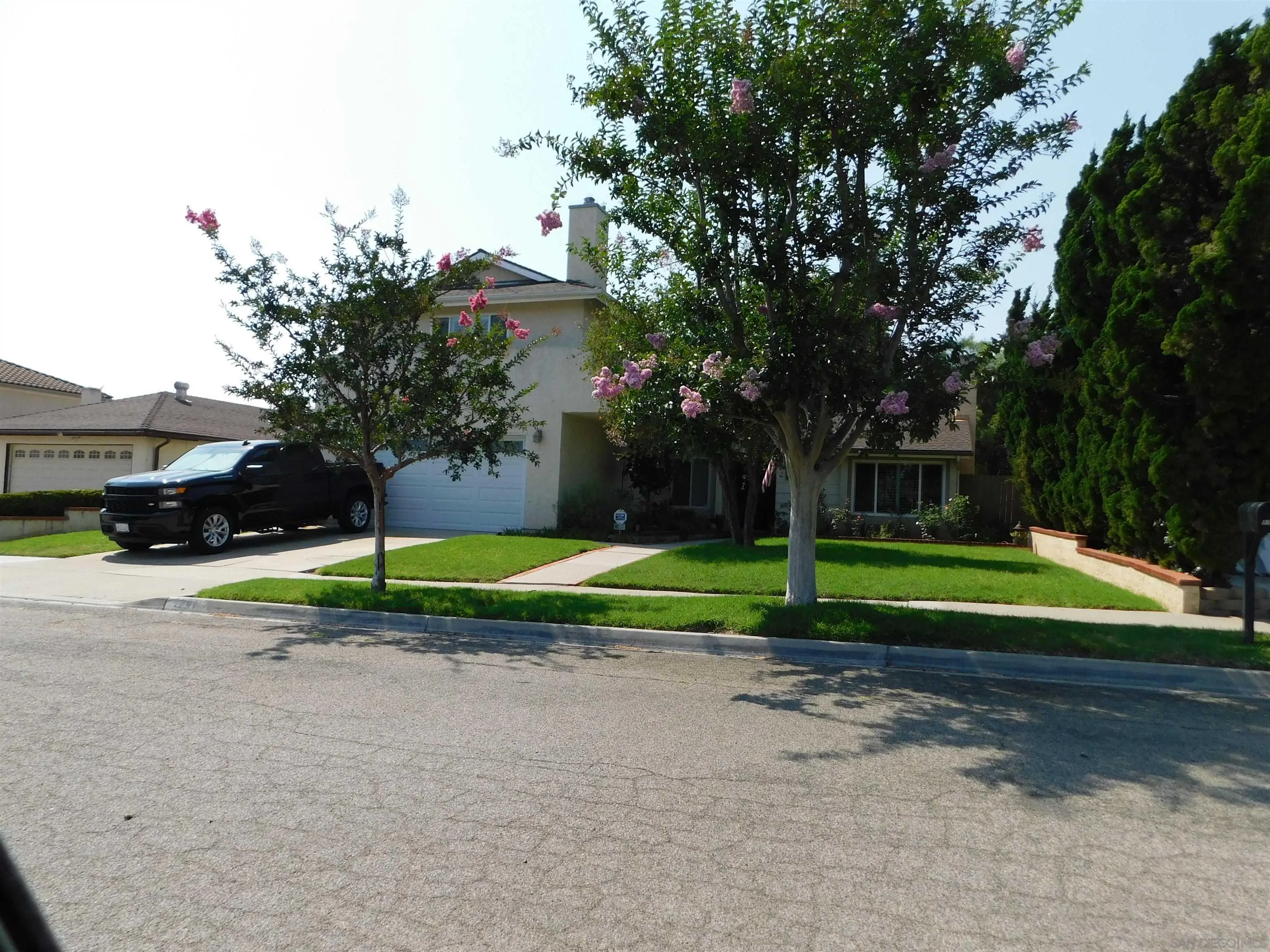 a view of a park with large trees