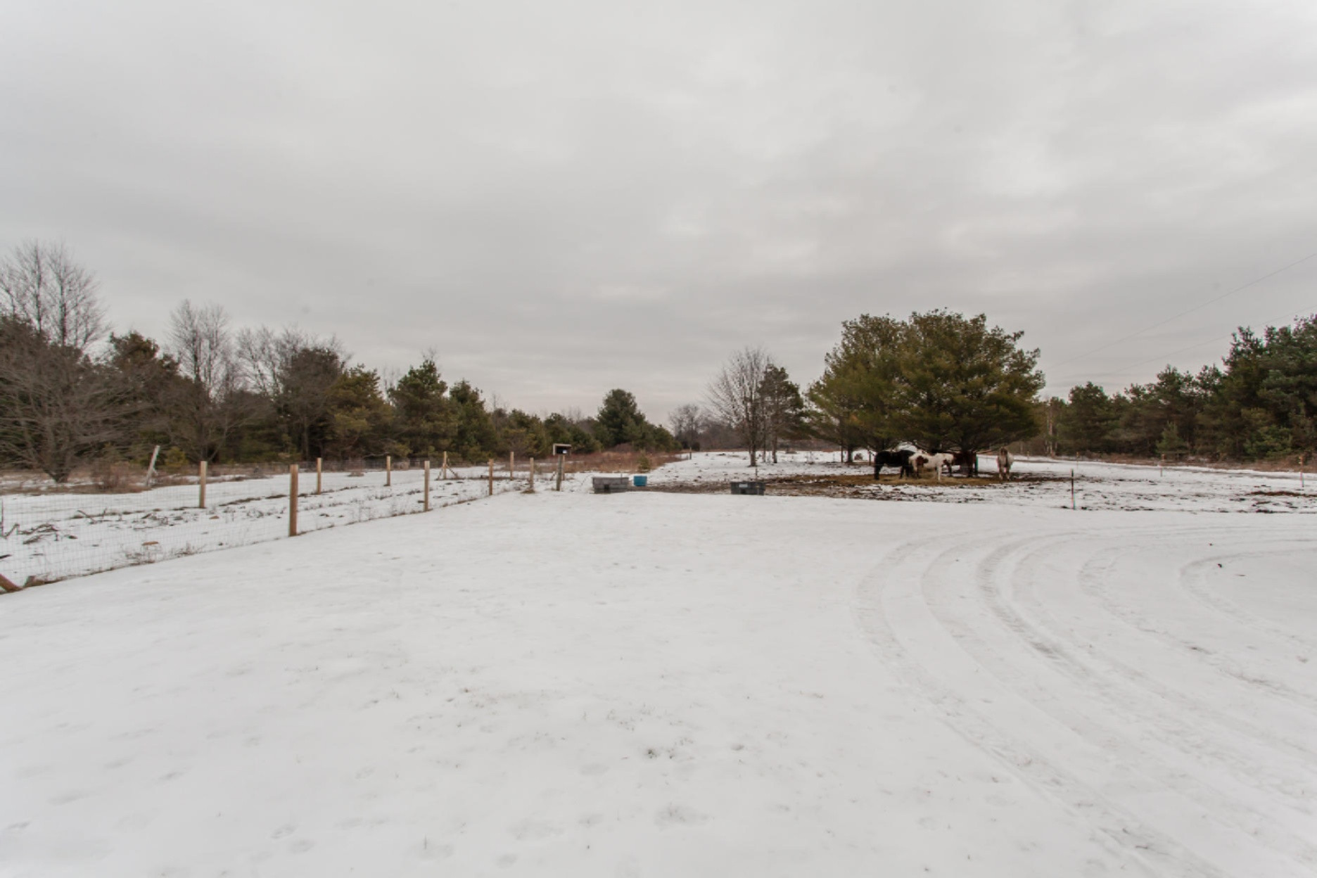 3648 Beattie Road Muskegon, MI 49445 - Photo 5 of 13 3648 BEATTIE_048