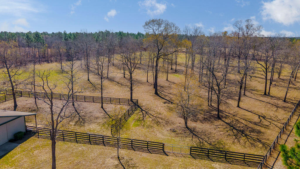 411 Bluffwood Road Wagener, SC 29164 - Photo 19 of 23