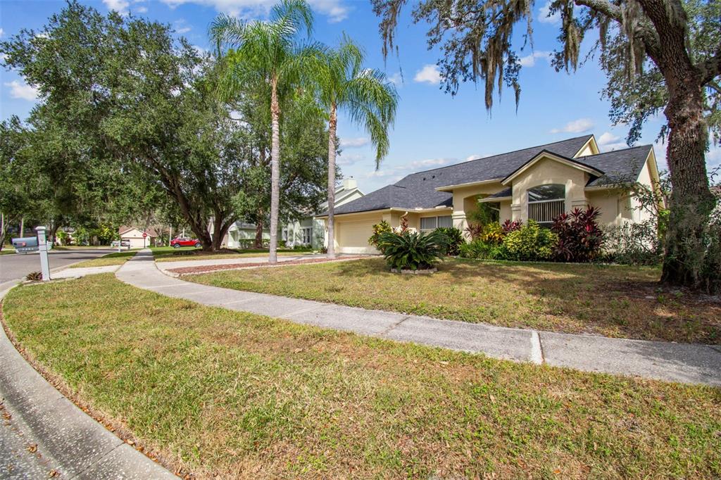 7206 Ridgeport Drive Tampa, FL 33647 - Photo 21 of 78 a view of a house with a yard and palm trees