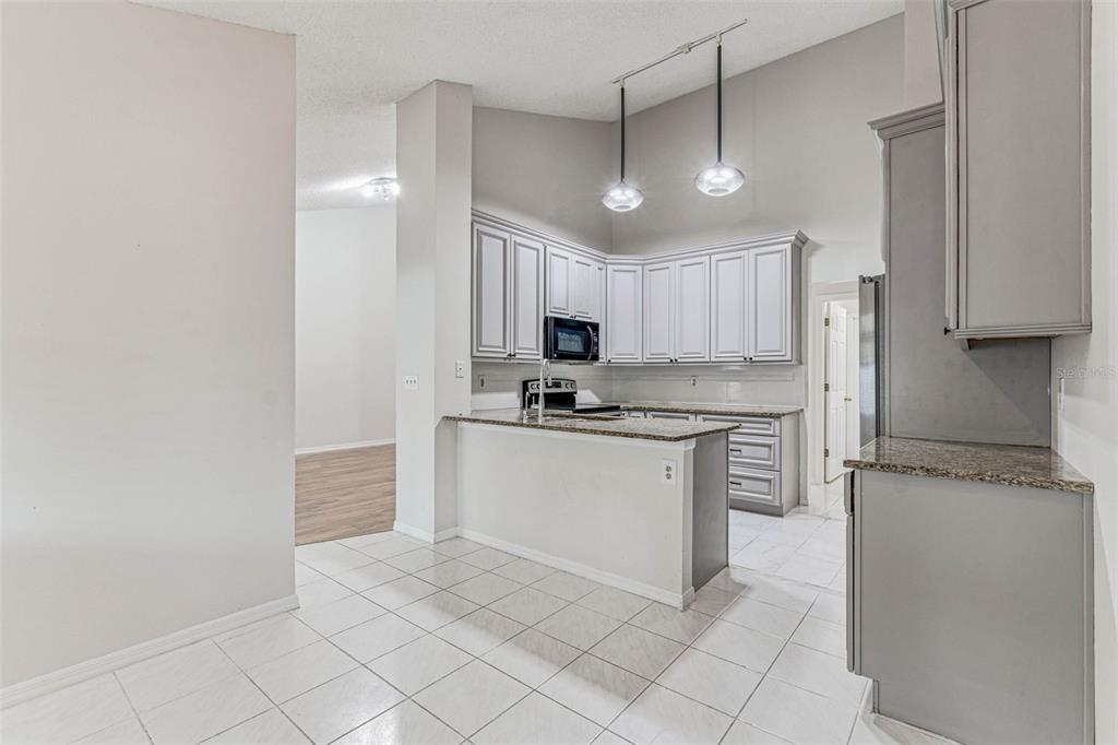 7206 Ridgeport Drive Tampa, FL 33647 - Photo 51 of 78 a kitchen with granite countertop white cabinets and stainless steel appliances