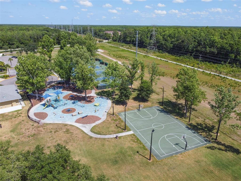 7206 Ridgeport Drive Tampa, FL 33647 - Photo 73 of 78 an aerial view of a house with a yard and lake view